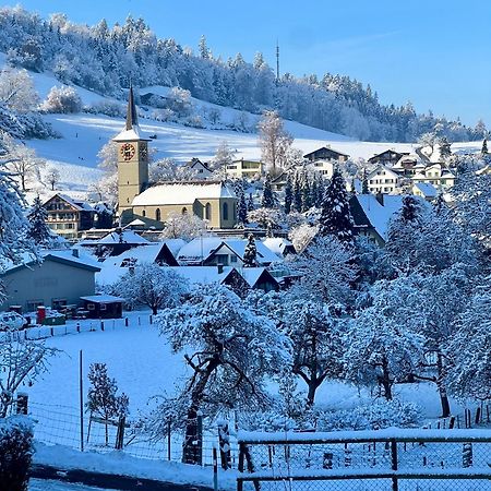 Apartment Im Emmental Oberburg Екстер'єр фото